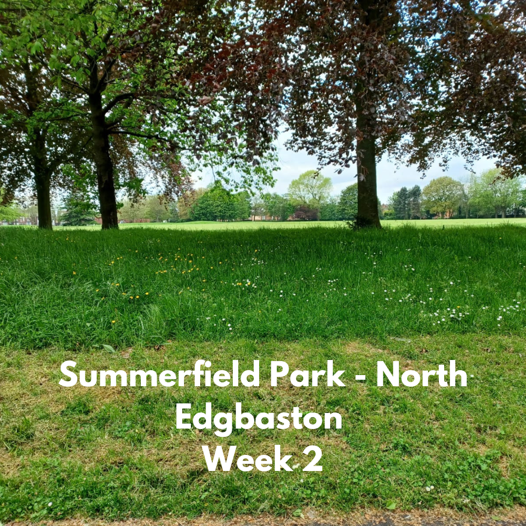 Summerfield Park Week 2