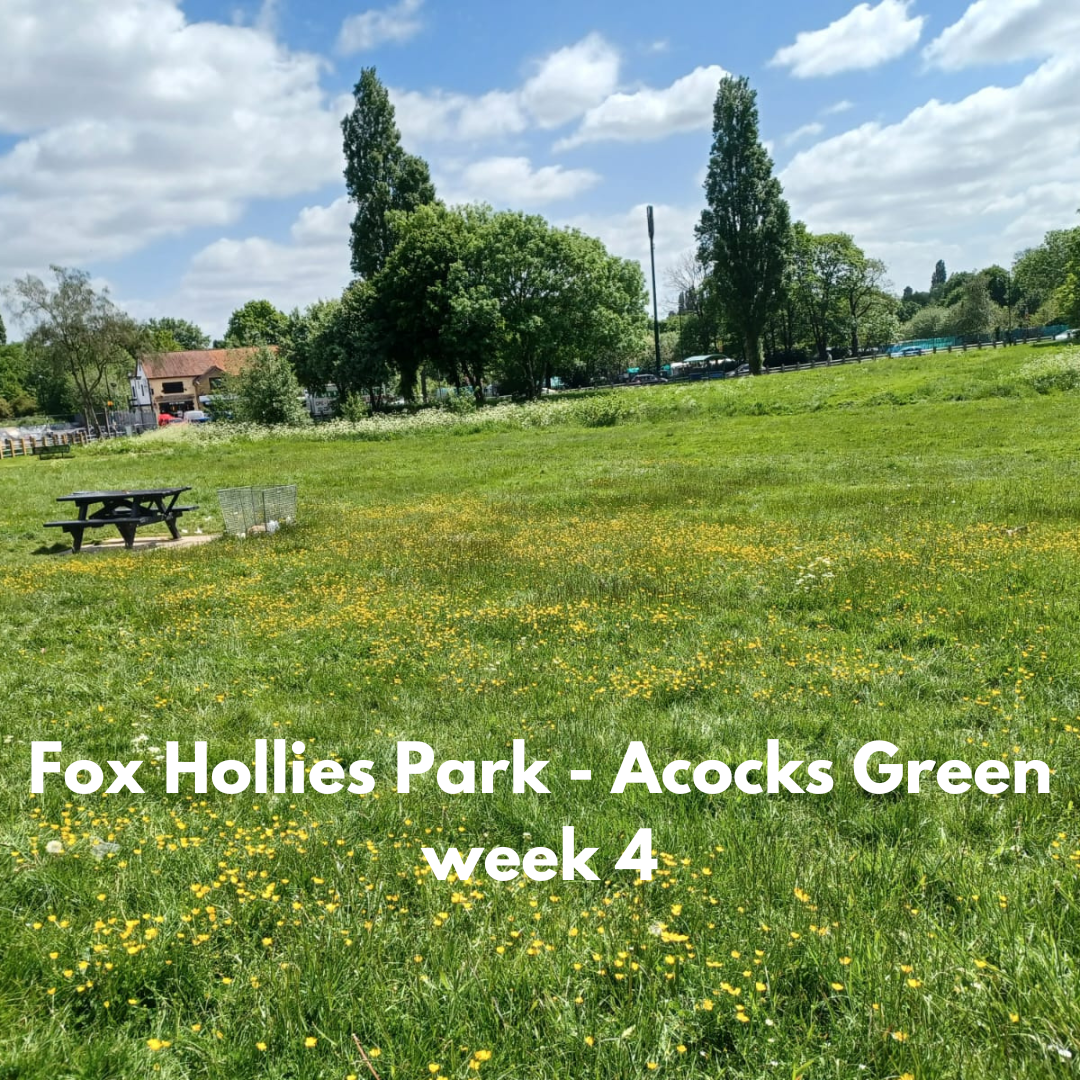 Fox Hollies Park week 4