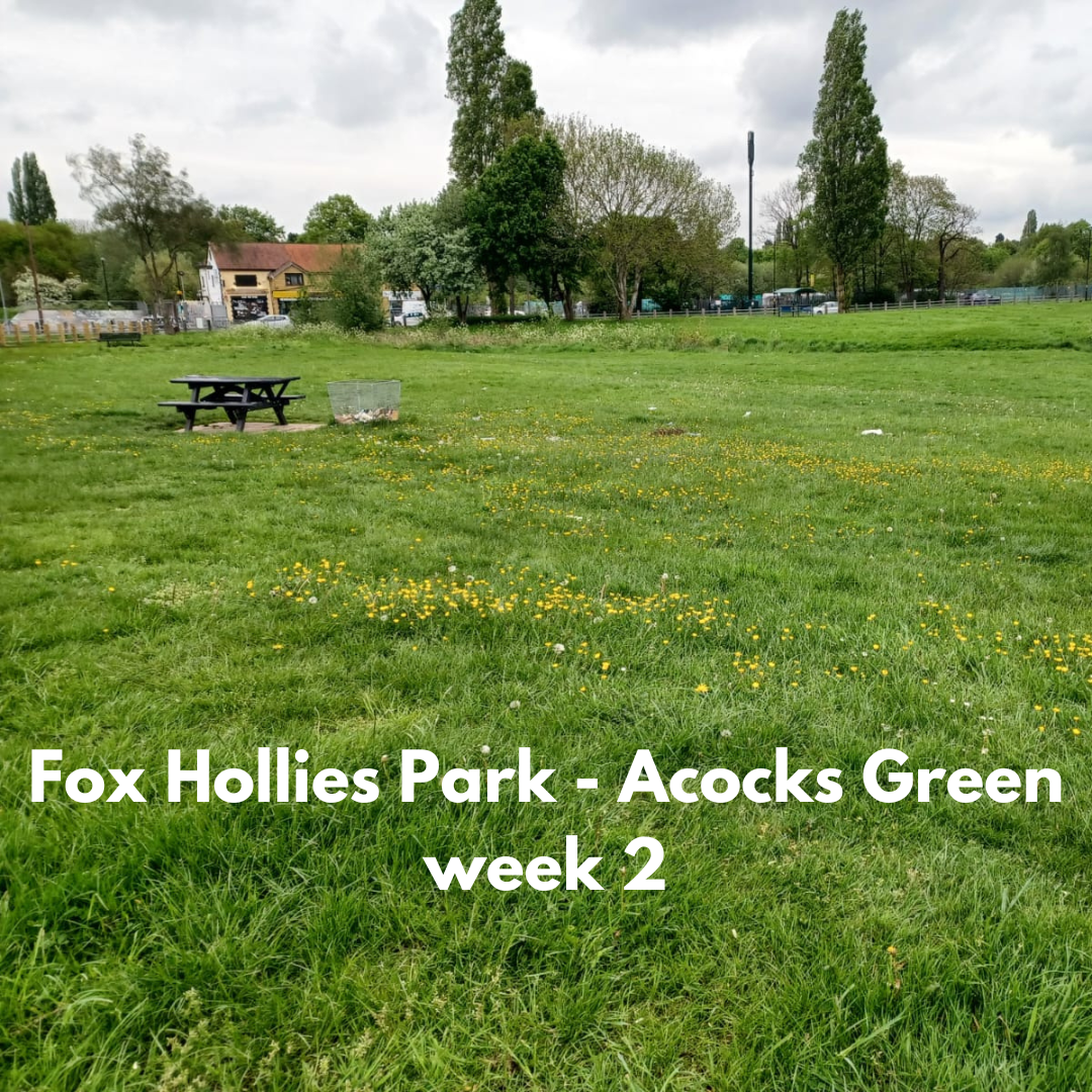 Fox Hollies Park week 2
